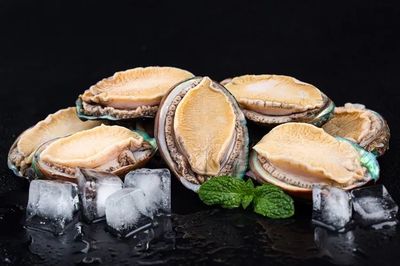 和治友德世界海洋日特輯 共同守衛(wèi)蔚藍(lán)，探索海洋生物活性物質(zhì)的綠色未來