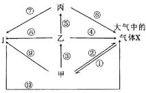 生態(tài)系統碳循環(huán)分析 光合作用、化能合成作用與海洋生物活性物質提取的關聯