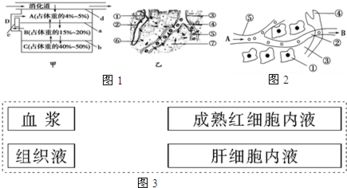 孟德爾遺傳規(guī)律為何不適用于細菌等單細胞生物？